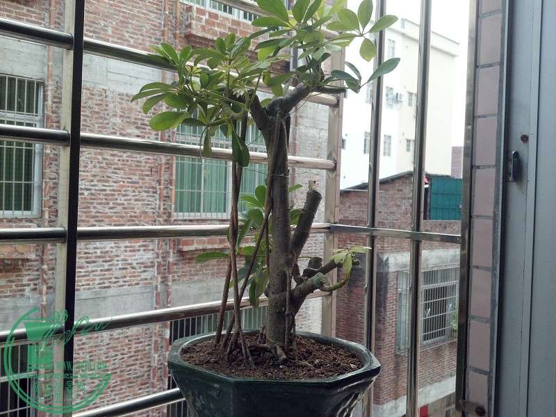 2015-04-14_16-34-18_917_www.moumu.com.jpg