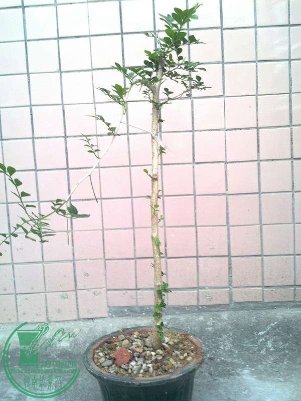 2015-04-14_18-14-49_621_www.moumu.com.jpg