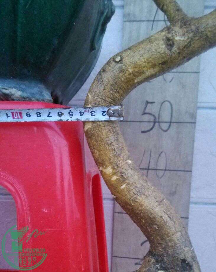 wifi0s0-1738226769IMG_20150414_185311-1.jpg