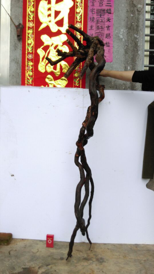 5ȸ÷׮IMG_2935.JPG