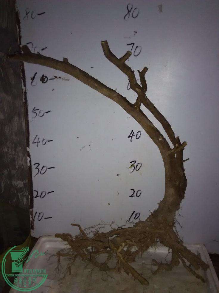 1-2.jpg