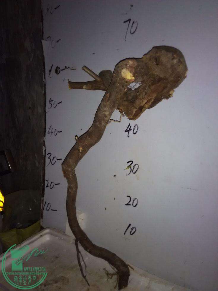 һ.jpg