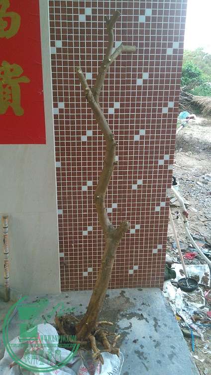 QQͼƬ20150415193922.jpg