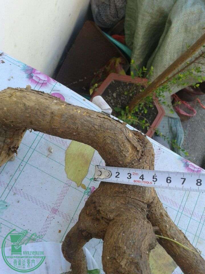 QQͼƬ20150415204716.jpg