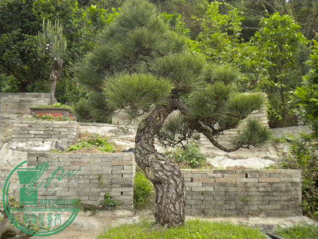 DSCN7970.JPG