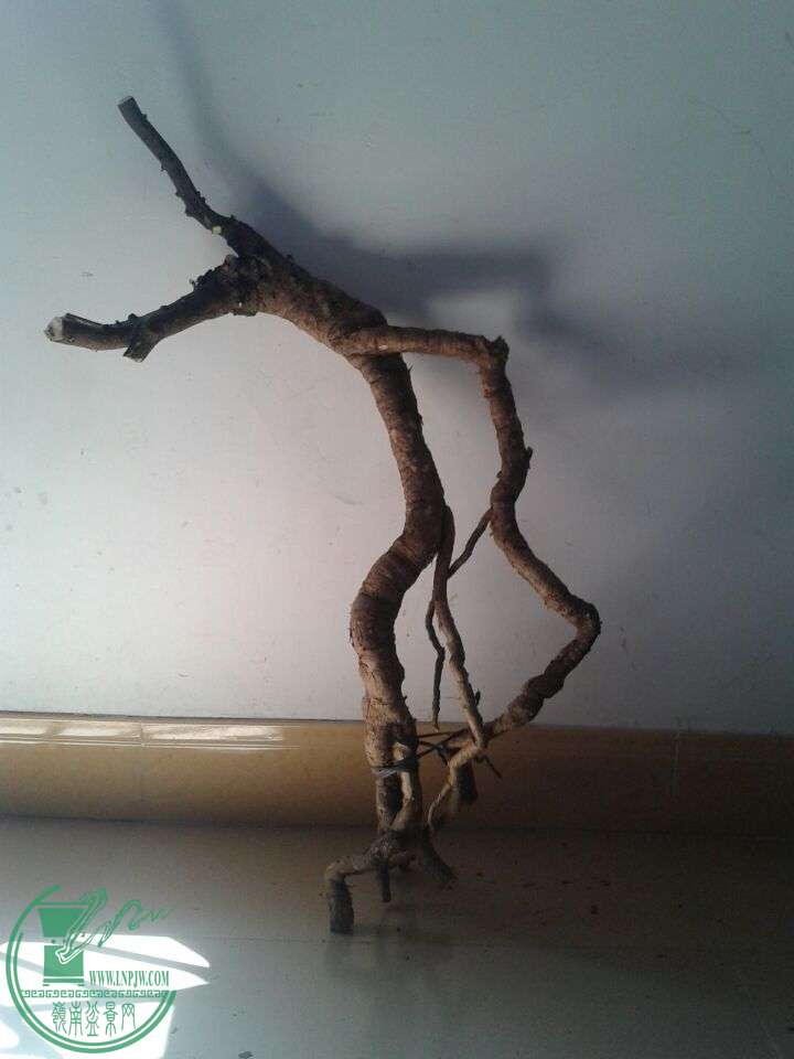 QQͼƬ20150415204600.jpg