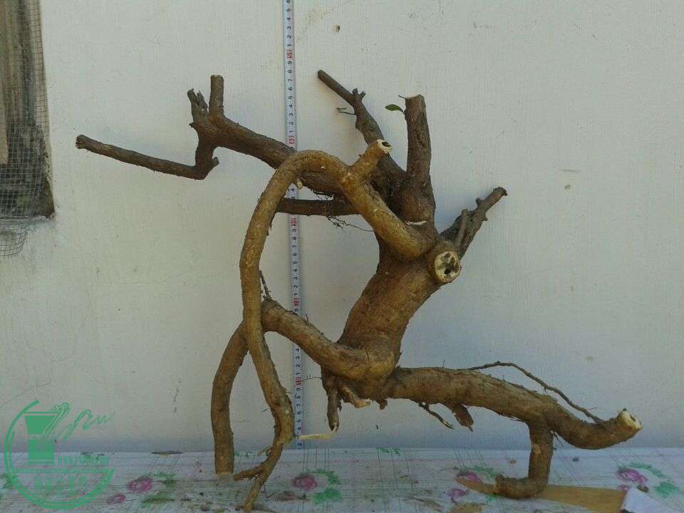 QQͼƬ20150415204616.jpg