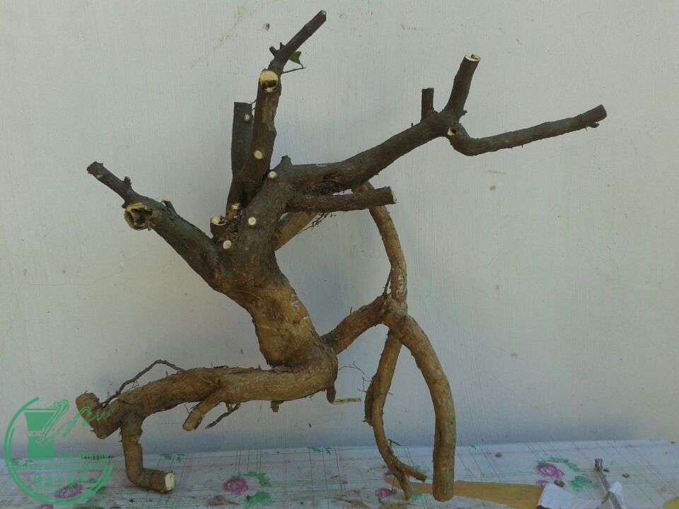 QQͼƬ20150415204608.jpg
