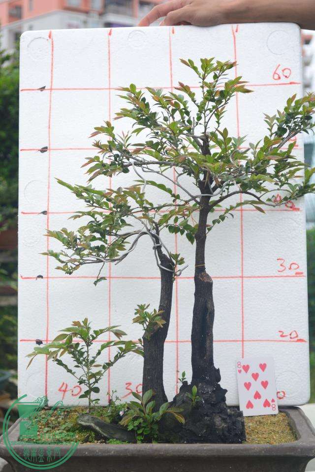 17-580.jpg