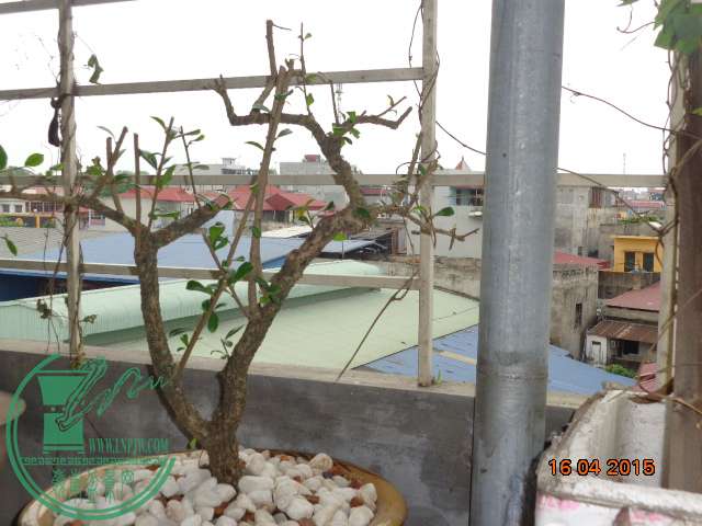 DSC00143.JPG