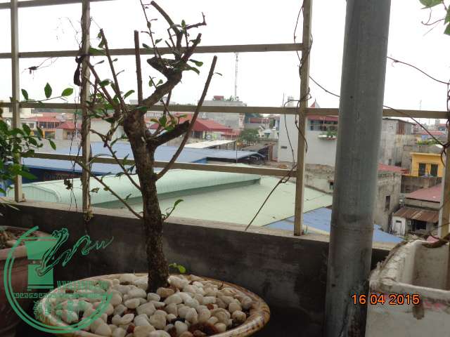 DSC00144.JPG