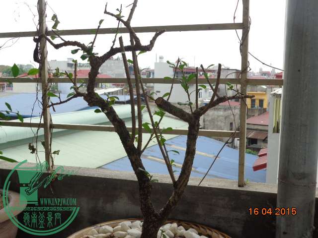 DSC00145.JPG