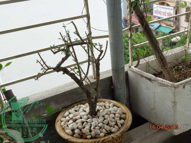 DSC00146.JPG