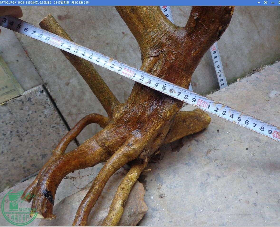 4.jpg
