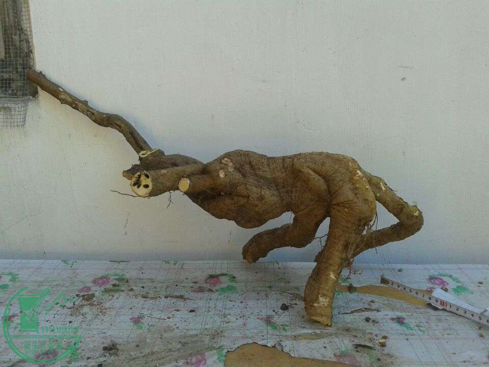 QQͼƬ20150415204623.jpg