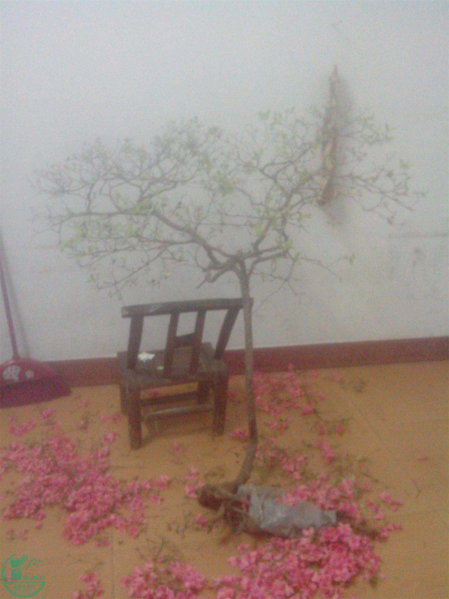 IMG20150415009.jpg