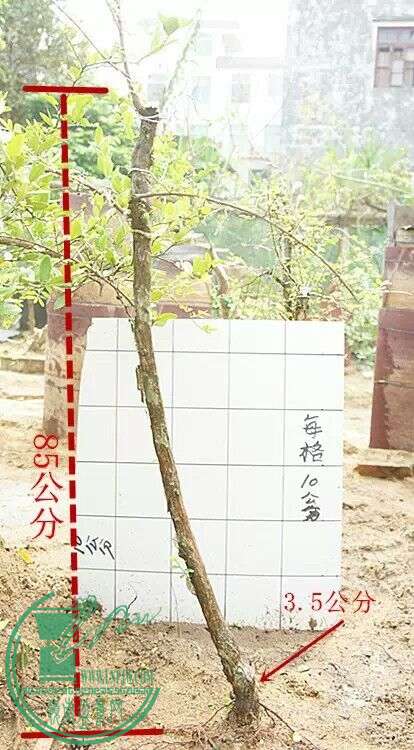 QQͼƬ20150416210421.jpg