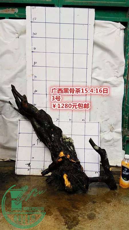 psb (9).jpg