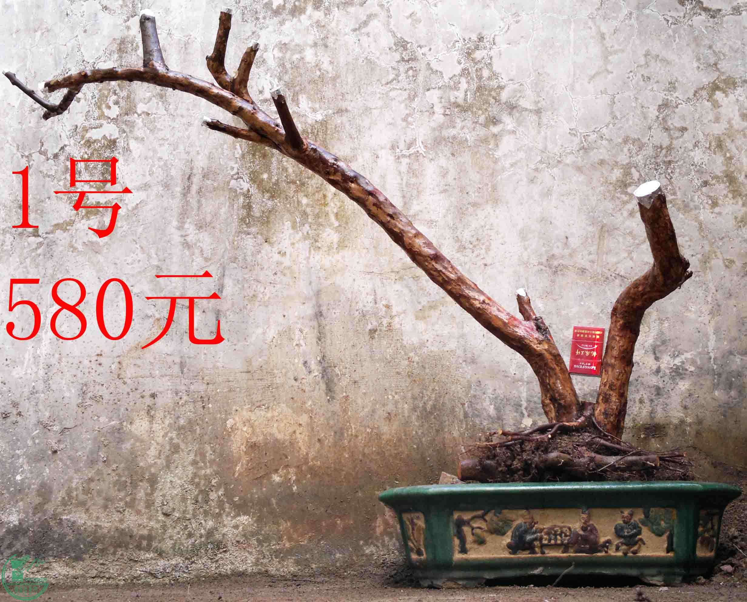 201504164843.jpg