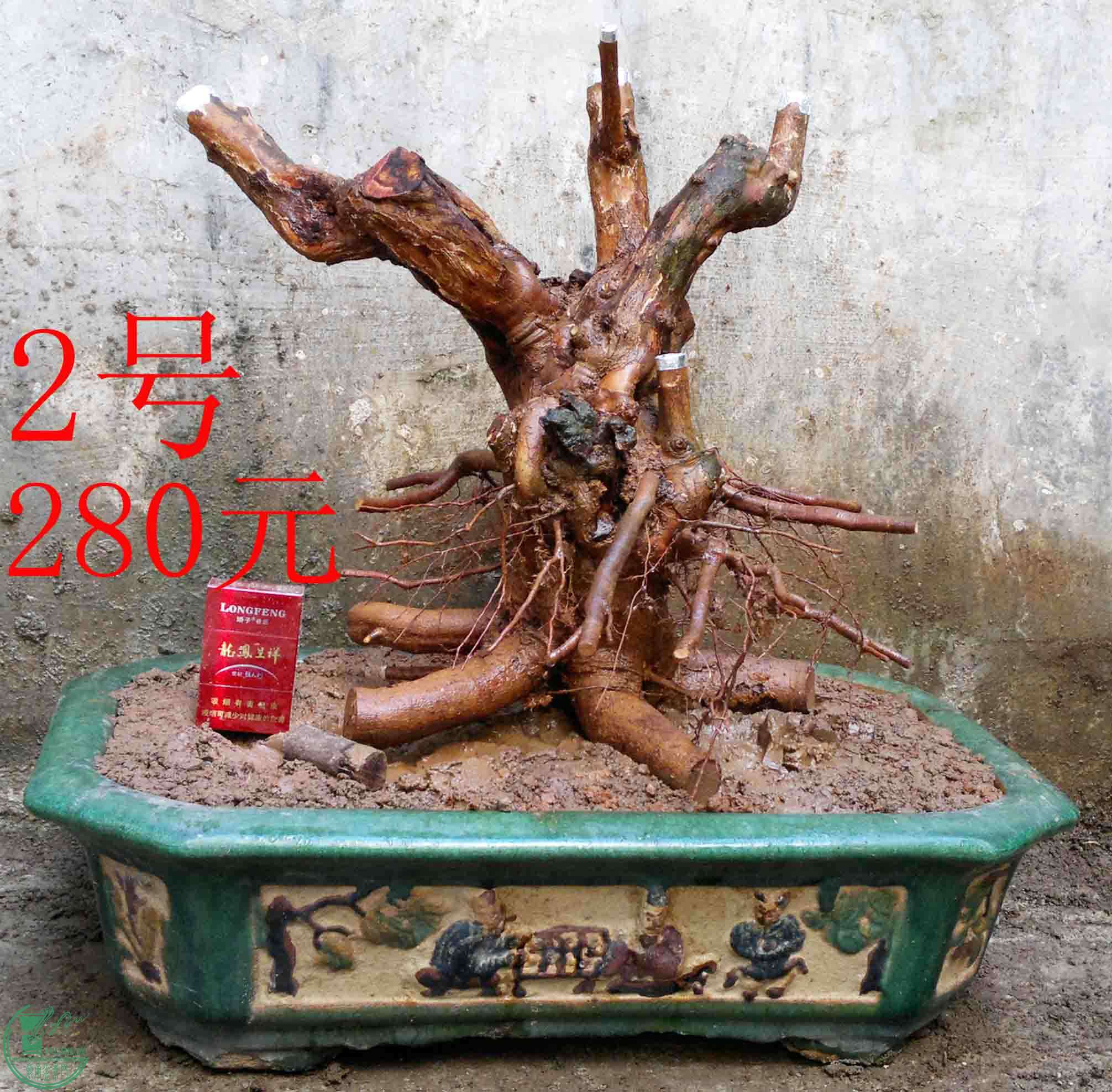 201504164897.jpg