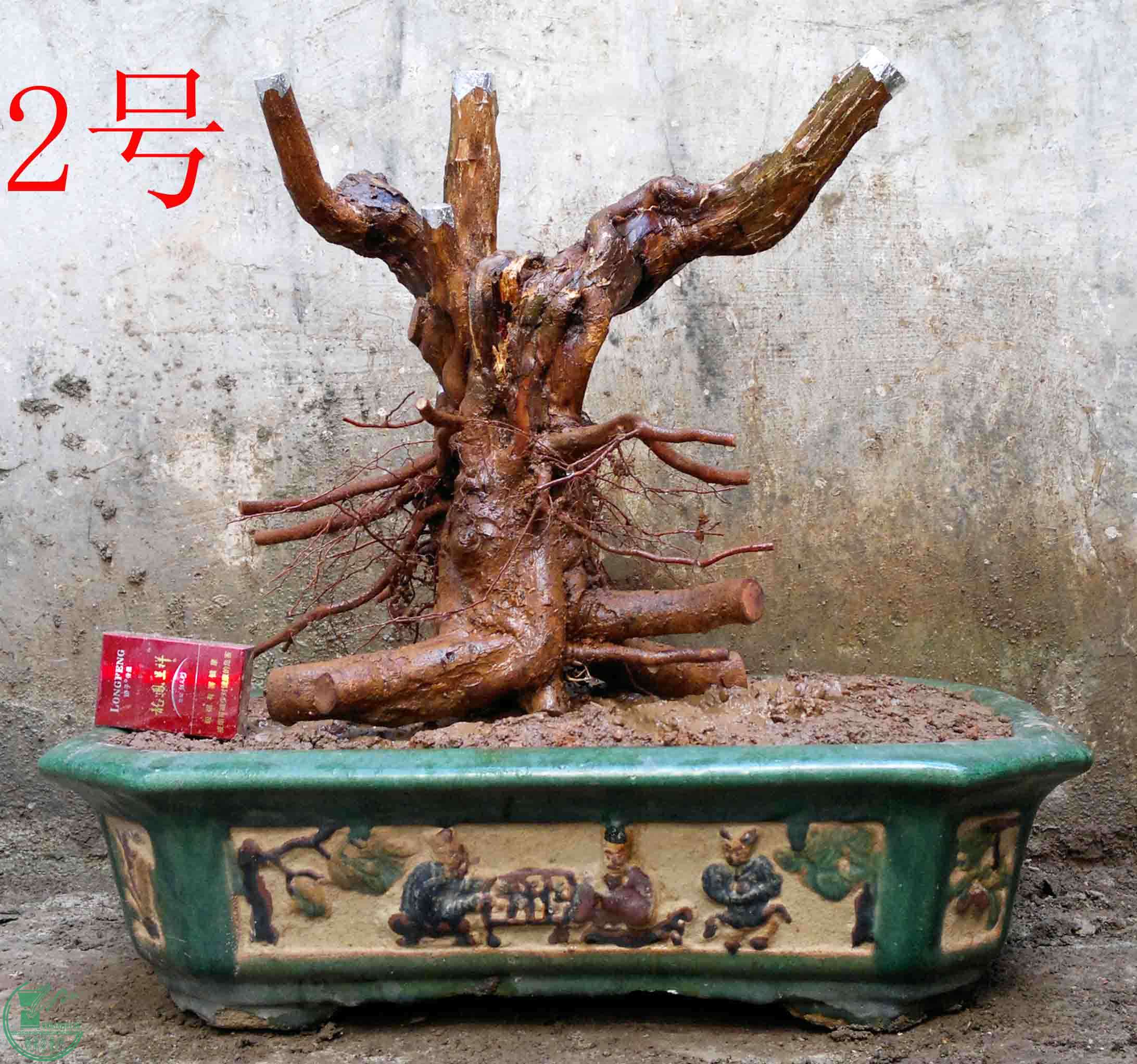201504164924.jpg