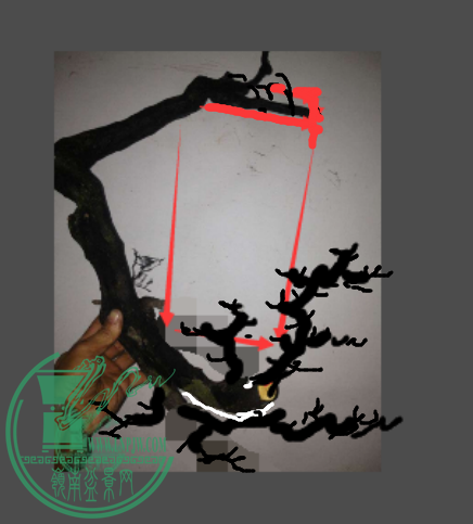 QQͼƬ20150417021534.png