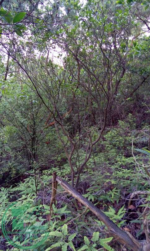 P50415-181910_С.jpg