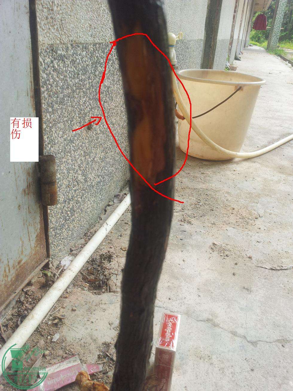 20150418_100744.JPG