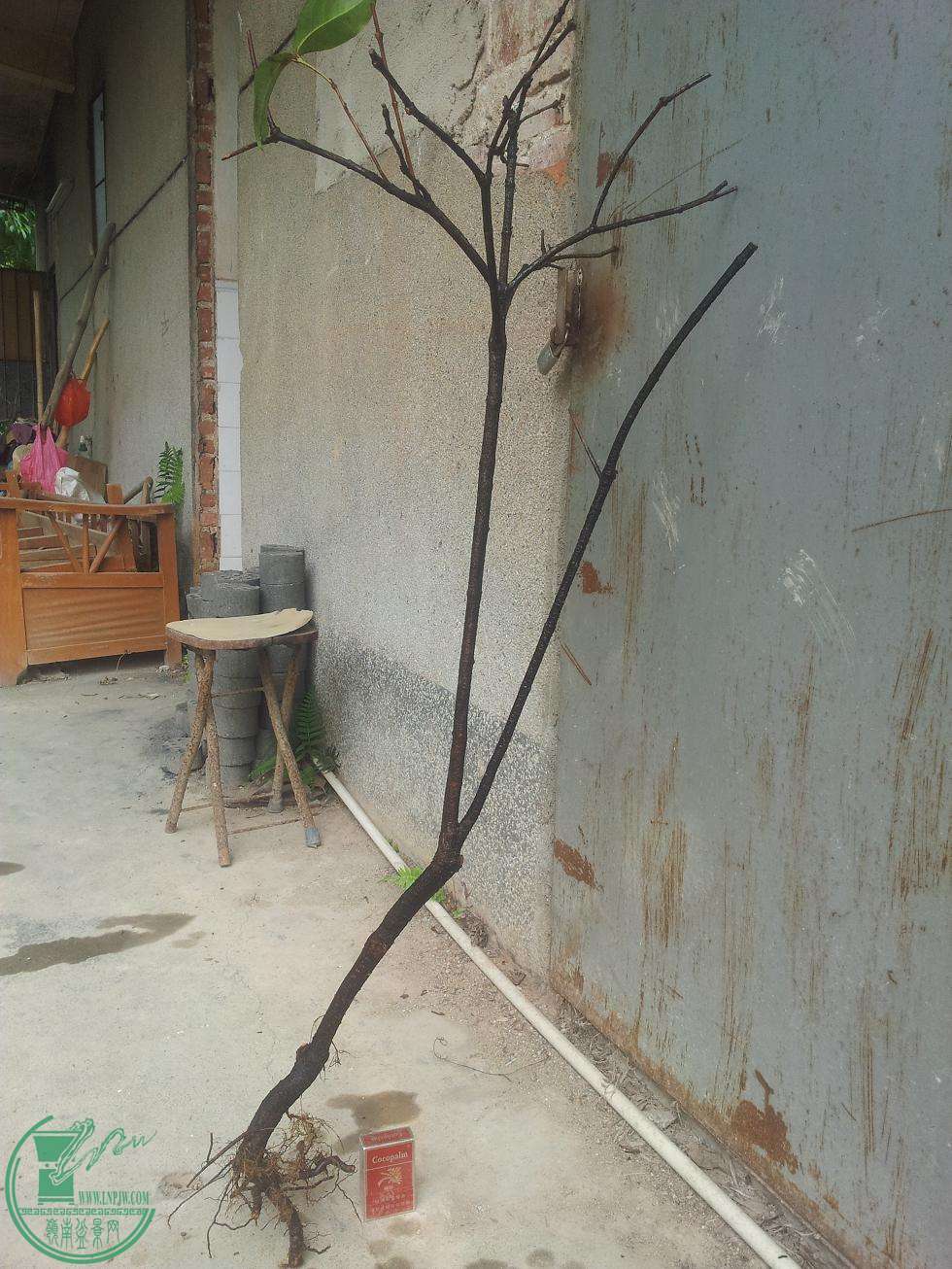 20150418_101942.JPG