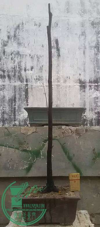 5_.jpg