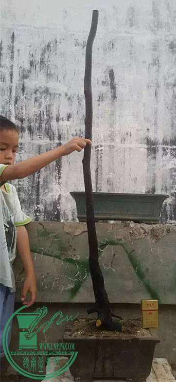 7_.jpg