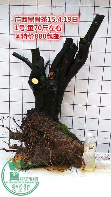 psb (3).jpg