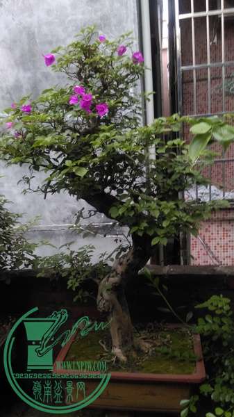 IMAG0307.jpg