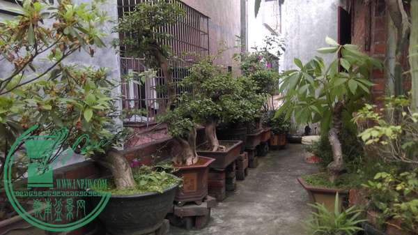 IMAG0304.jpg