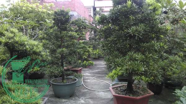 IMAG0303.jpg