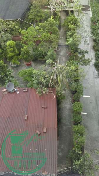 IMAG0293.jpg