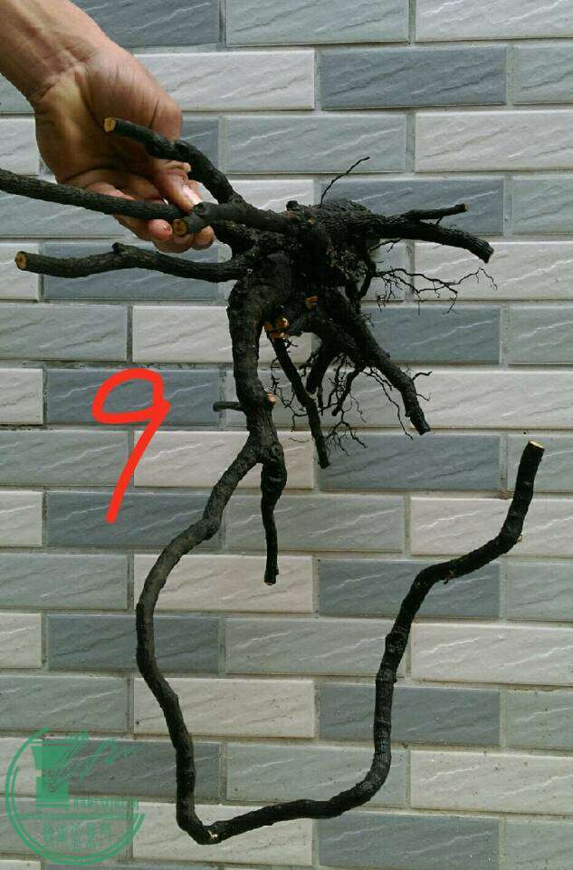 -2ad2ac017a238425.jpg