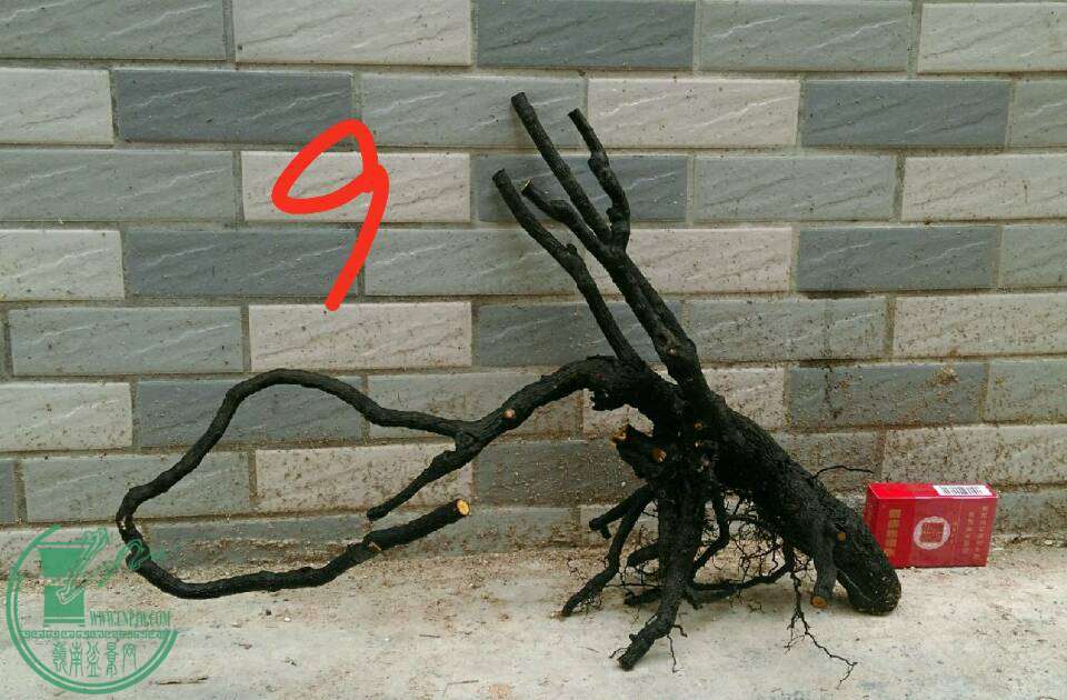 7d91d5891126c7df.jpg