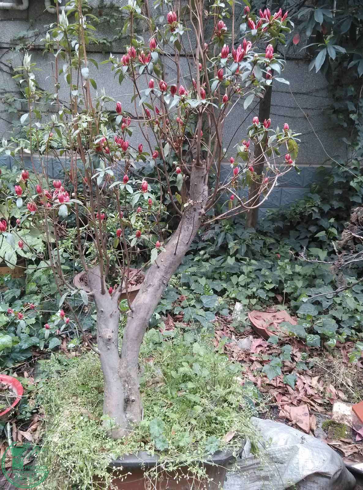 IMG_20150408_080833.jpg