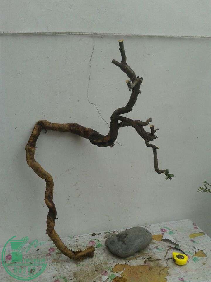 QQͼƬ20150420142019.jpg
