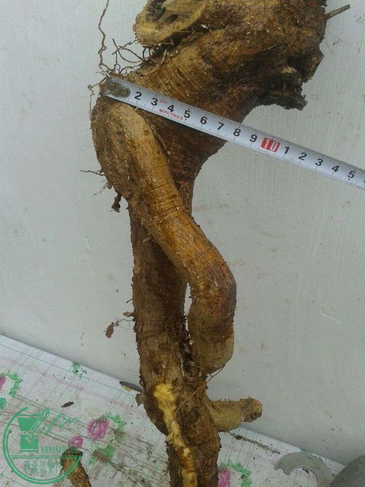 QQͼƬ20150420142136.jpg