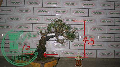 IMG_8526_.jpg