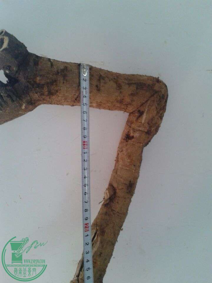 QQͼƬ20150422150259.jpg