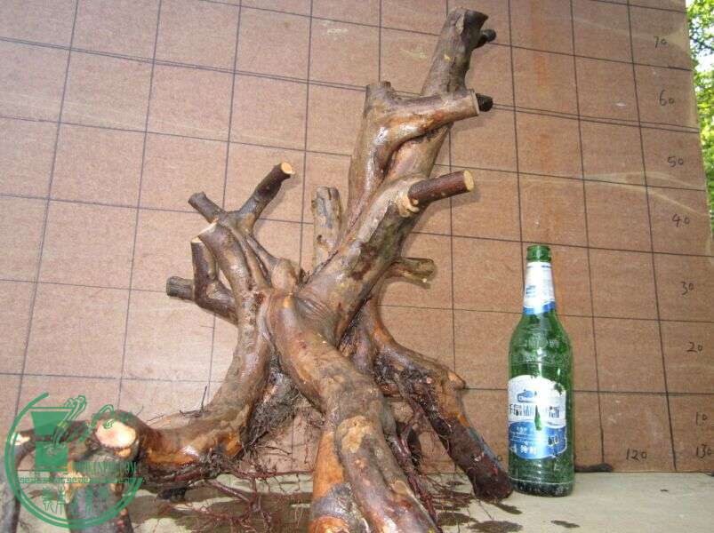 ȸ2.jpg