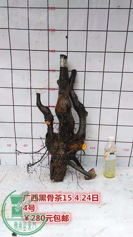 psb (10).jpg