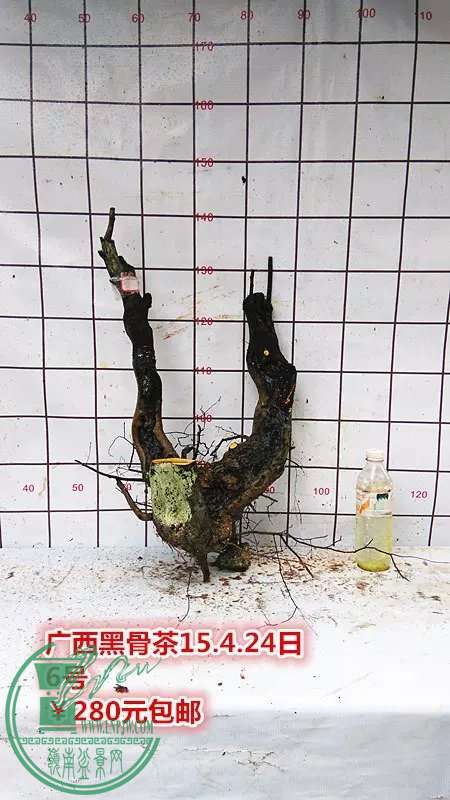 psb (13).jpg