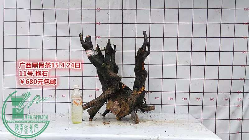 psb (26).jpg
