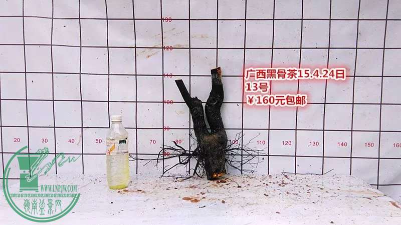 psb (30).jpg