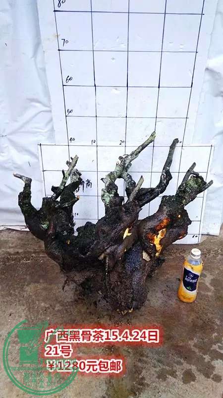 psb (48).jpg