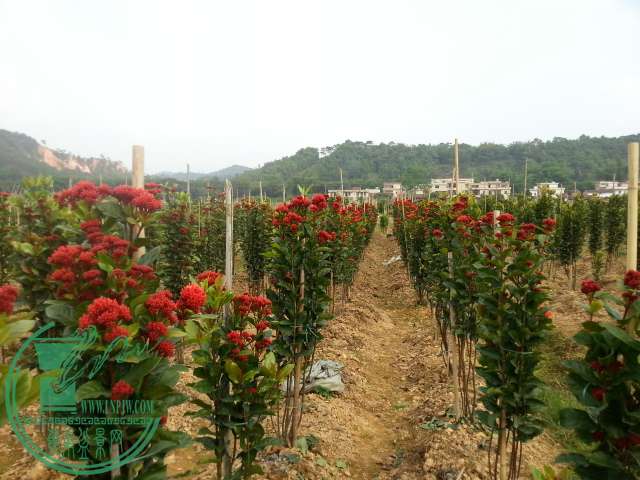 20150425_162935.jpg